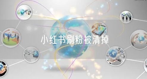 小红书刷粉被清掉
