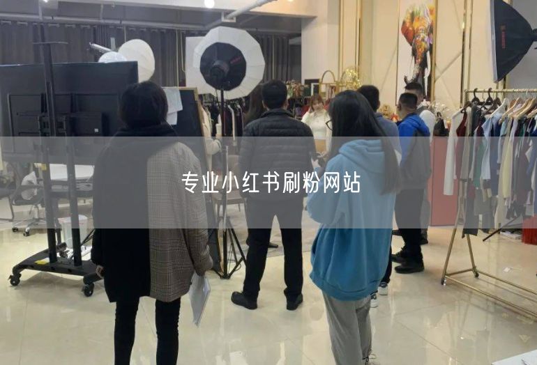 专业小红书刷粉网站