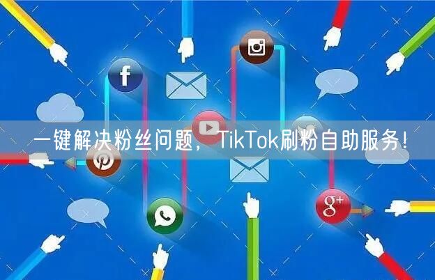 一键解决粉丝问题，TikTok刷粉自助服务！