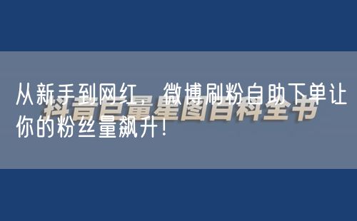 从新手到网红，微博刷粉自助下单让你的粉丝量飙升！